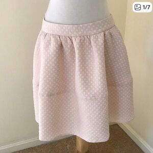 Express Light Pink A-Line Skirt